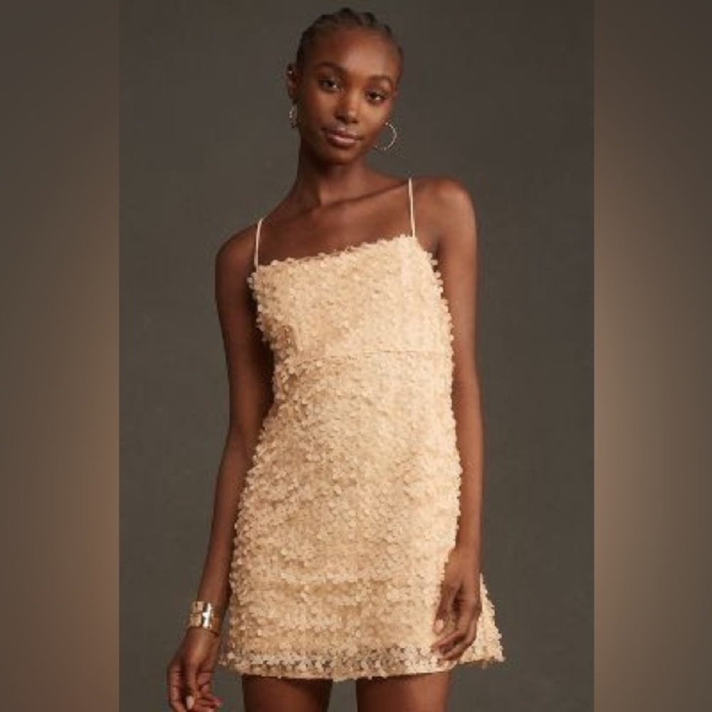 NWT Anthropologie 3D Floral Appliqué Textured Mini Dress Blush Nude Size L